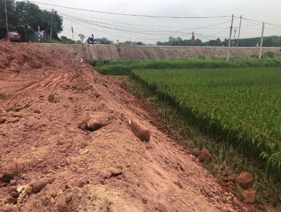 Thông tin từ đường dây nóng